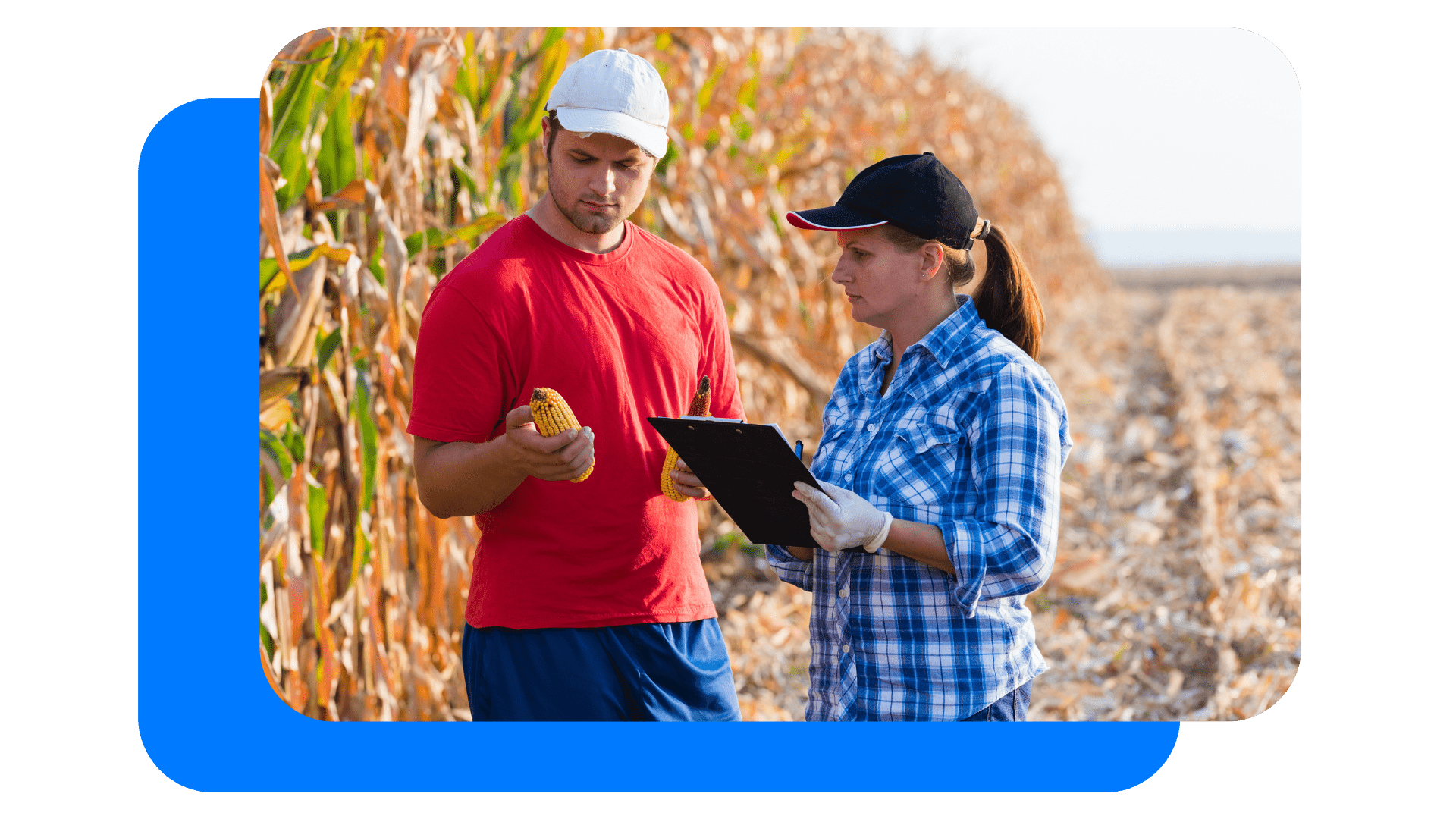 Quality Assurance in Seed Production