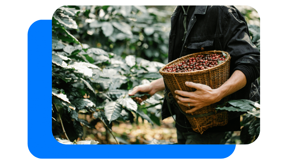 Coffee industry landscape